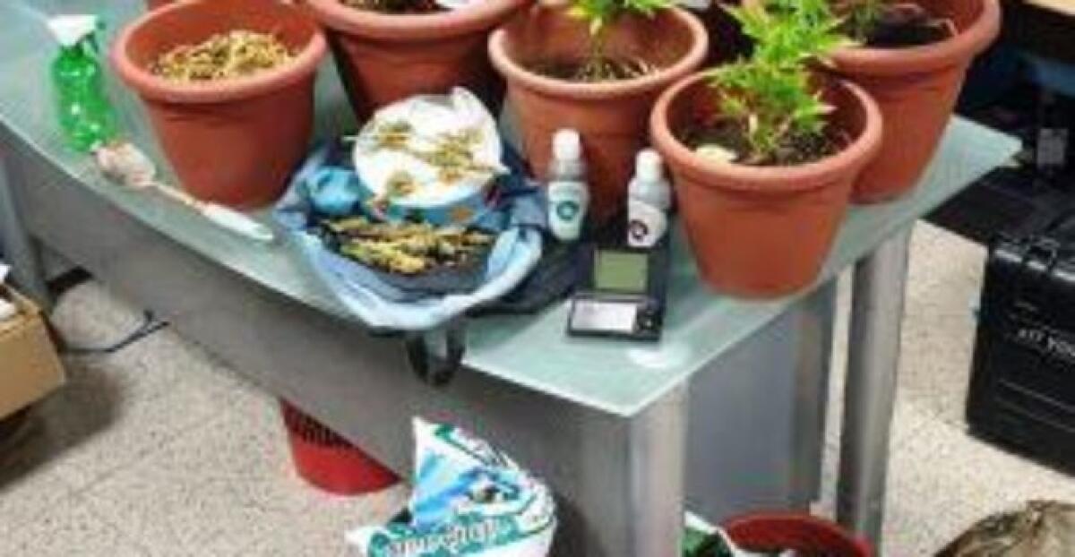 CATANIA, ARRESTATI PER SPACCIO E RIMESSI IN LIBERTÀ PER ESAMI DI MATURITÀ - 