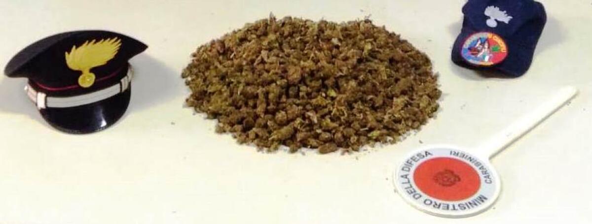 GRAVINA DI CATANIA.  “ZERO” E “INDIC” FIUTANO LA DROGA IN CAMERA DA LETTO: UN ARRESTO - 