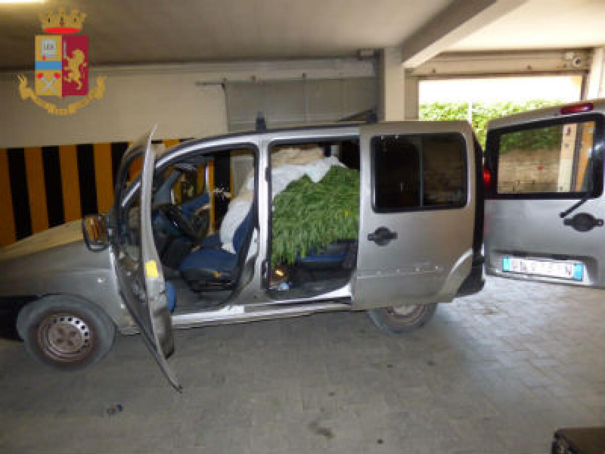 PIAZZA ARMERINA: RUBA 103 KG DI MARIJUANA, ARRESTATO - 
