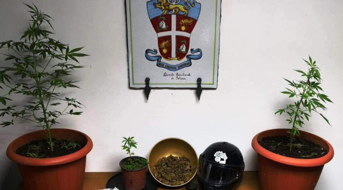 CATANIA:  "CORREVO PERCHÉ MIA FIGLIA STA MALE", PUSHER BUGIARDO IN MANETTE - 