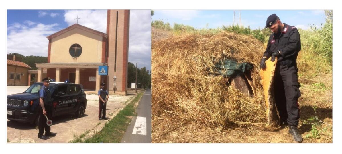 CALTAGIRONE (CT). RITROVATA OLTRE MEZZA TONNELLATA DI CORTEGGIA DI SUGHERO: DENUNCIATO IL PENSIONATO CHE LA OCCULTAVA - 