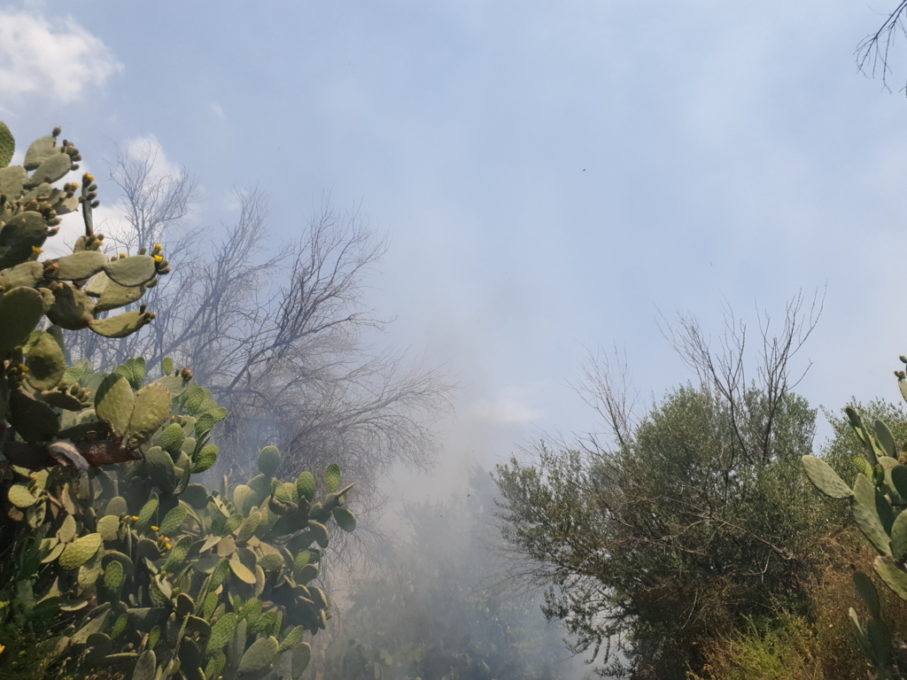 INCENDIO LAMBISCE LE VILLETTE IN VIA MONGIBELLO
