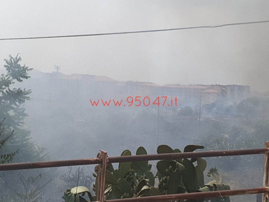 GIORNATA INTENSA PER I VIGILI DEL FUOCO, CONTINUANO GLI INCENDI