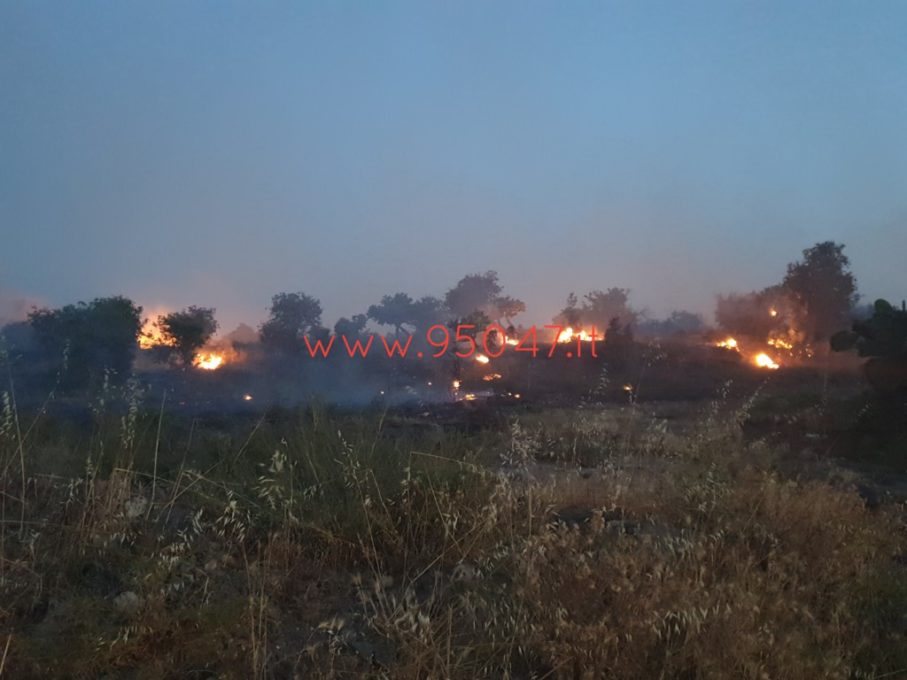 PATERNÒ: AMPIO INCENDIO DI STERPAGLIE IN ZONA SALINELLE