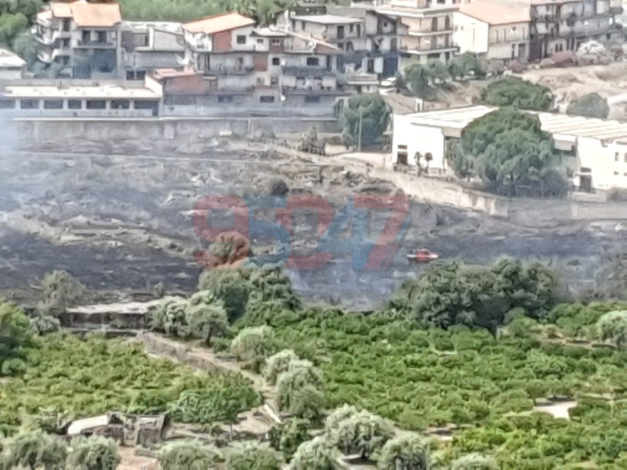 CON IL CLIMA CALDO E SECCO SI SUSSEGUONO GLI INCENDI, NUOVI ROGHI DI STERPAGLIA