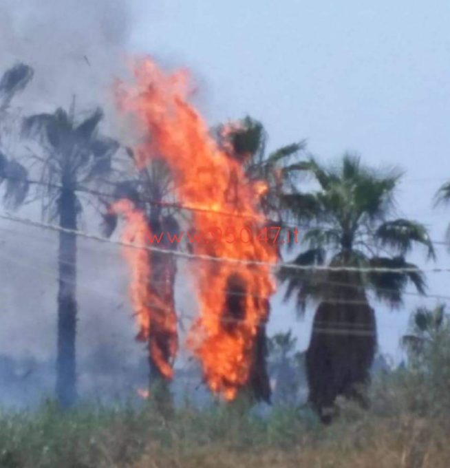 GROSSO INCENDIO IN CONTRADA TRE FONTANE, DENSA NUBE NERA
