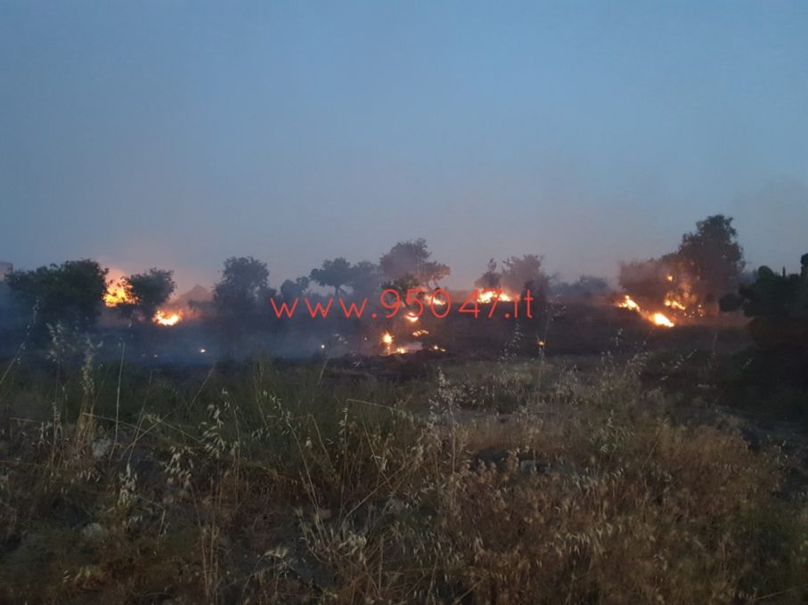 PATERNÒ: AMPIO INCENDIO DI STERPAGLIE IN ZONA SALINELLE