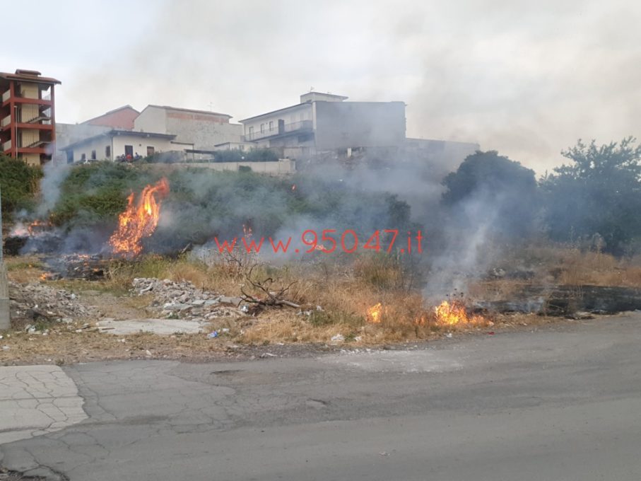 CONTINUANO GLI INCENDI DI STERPAGLIE: COLPA DELL'ABBANDONO DEI TERRENI