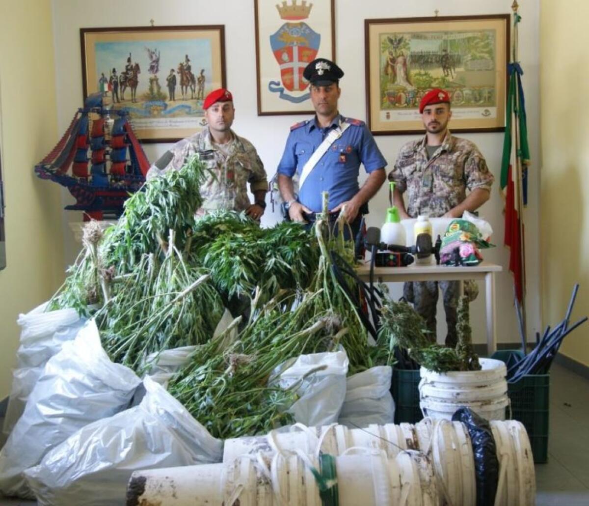 BRONTE, IRRIGAVANO LA PIANTAGIONE DI MARIJUANA CON L’ACQUA PUBBLICA: 3 ARRESTI - 