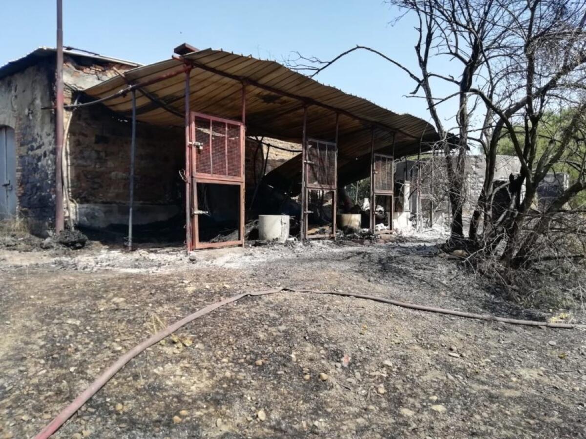 PIANO TAVOLA: INCENDIO IN UN CAPANNONE - 