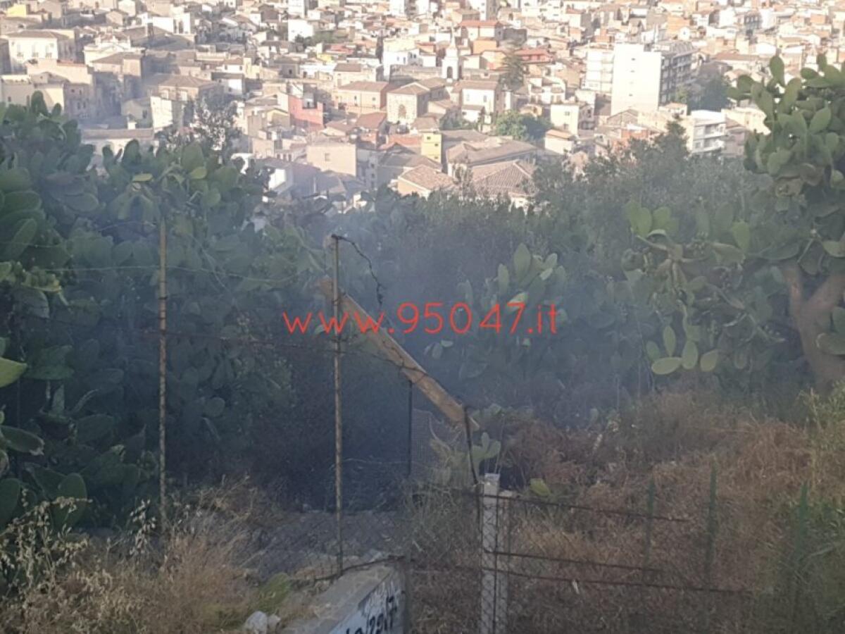 INCENDIO DI STEPAGLIE ALLA COLLINA STORICA - 