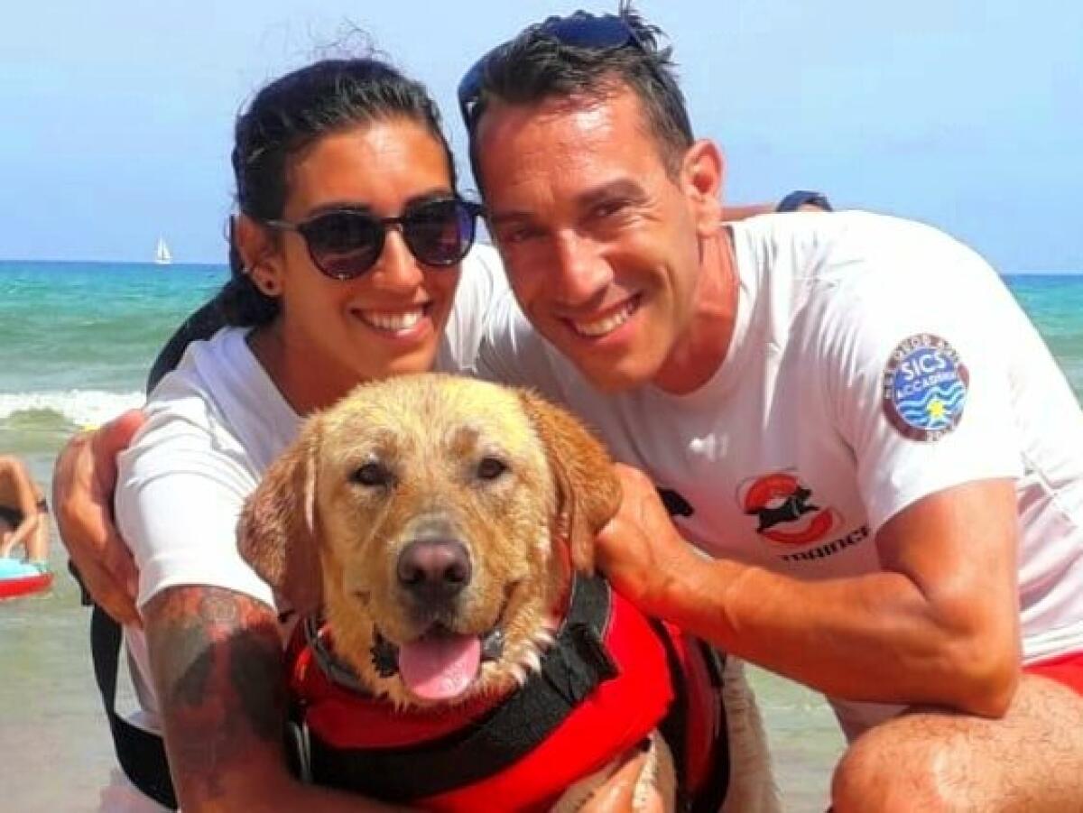 TRAPANI: IL CANE BAGNINO SALVA UN UOMO CHE STAVA PER ANNEGARE, LA LABRADOR AKIRA LO PORTA A RIVA CON DUE OPERATORI - 