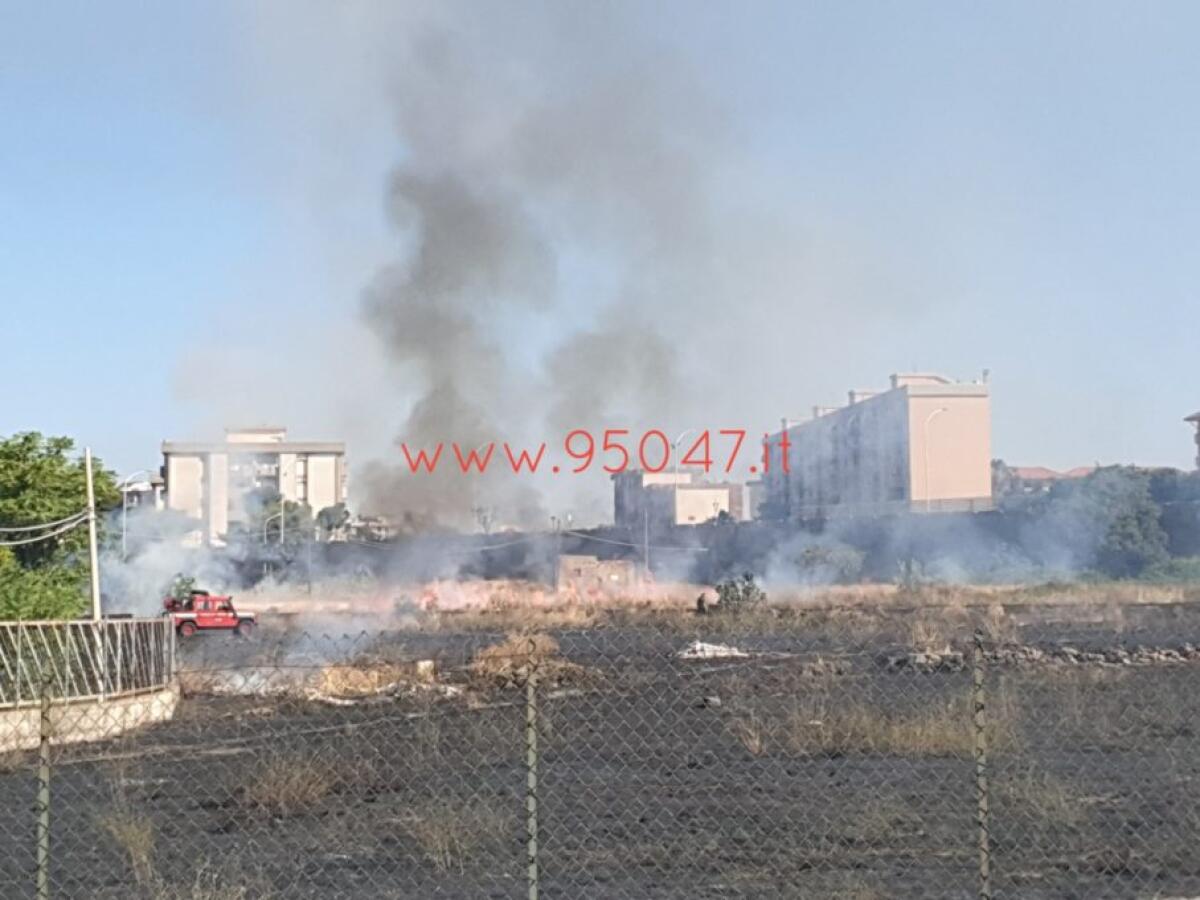 PATERNO': INCENDIO AL CORSO ITALIA, A FUOCO ROVI E STERPAGLIE - 