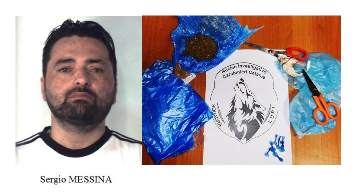 CATANIA. NASCONDEVA IN CUCINA “CRACK” E “ERBA”: UN ARRESTO DEI “LUPI” - 