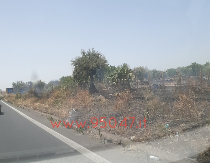 INCENDIO DI STERPAGLIE A RIDOSSO DELLA SS121, RALLENTAMENTI