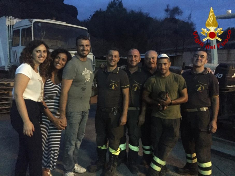 CUCCIOLO DI CANE SALVATO DAI VIGILI DEL FUOCO A CATANIA.