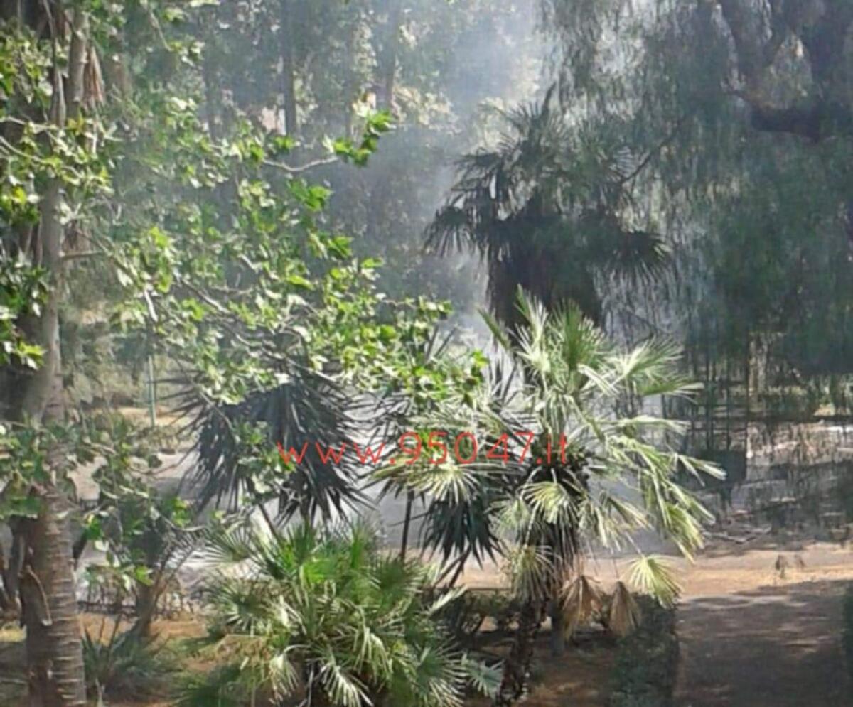 PATERNÒ: VANDALI INCENDIANO PIANTE ALLA VILLA COMUNALE - 