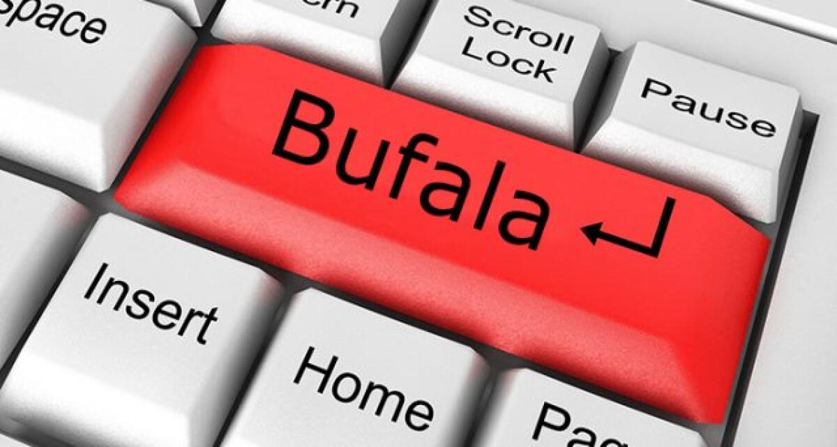 TORNA ATTUALE SU WHATSAPP LA BUFALA SU ADIDAS CHE REGALA SCARPE - 