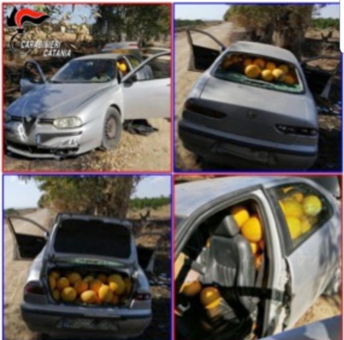 RAMACCA, AVEVANO FATTO RAZZIA DI MELONI. IN DUE FUGGONO PER LE CAMPAGNE - 