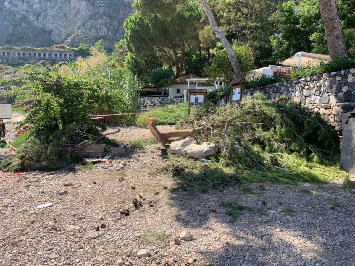 TRAGEDIA SFIORATA, RAMO CADE SULLA SPIAGGIA DI ISOLA BELLA: 7 FERITI - 