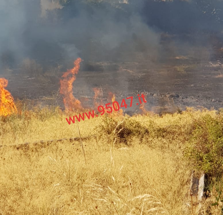 PATERNÒ: STERPAGLIE IN FIAMME VICINO ALLE POMPE DI BENZINA