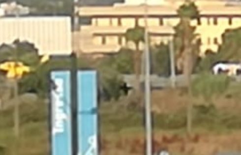 GRAVE INCIDENTE STRADALE SULL'ASSE DEI SERVIZI, ELISOCCORSO SUL POSTO