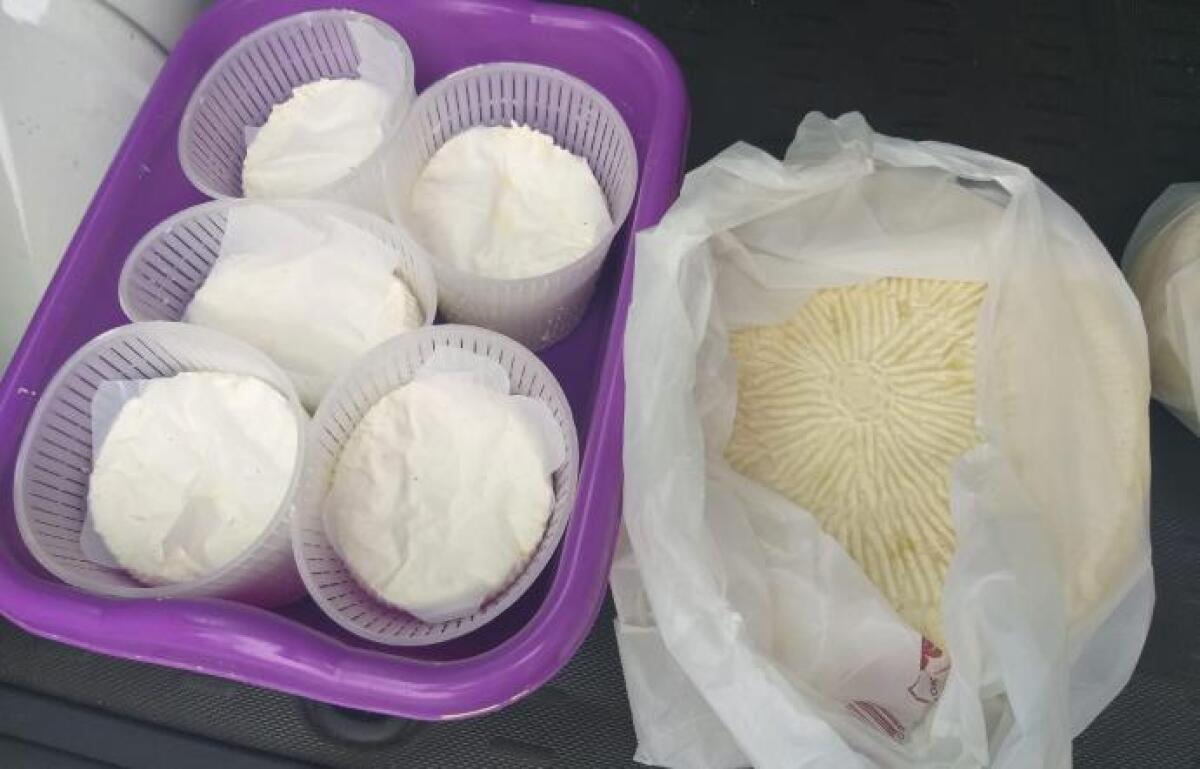 CATANIA: RICOTTA E FORMAGGI DI PROVENIENZA INCERTA AL MERCATO DI PIAZZA VERGA - 