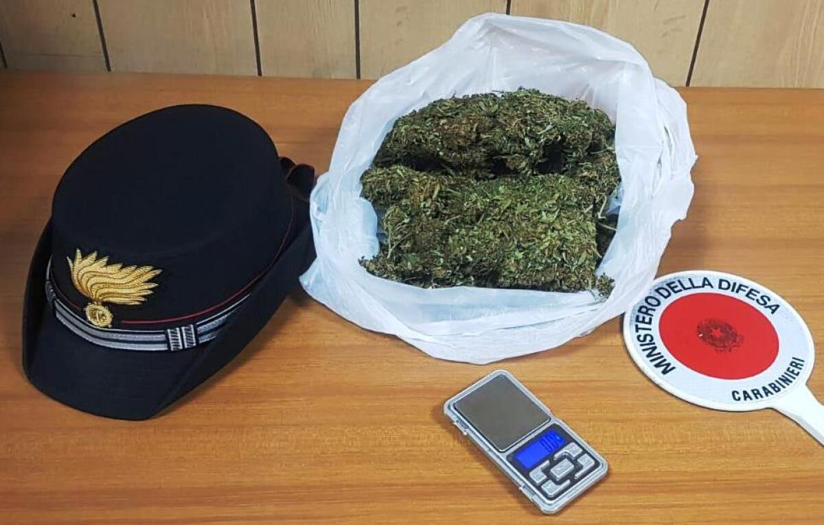 ACI CATENA: TENEVA IN FRESCO L’ERBA PER I CLIENTI, ARRESTATO - 