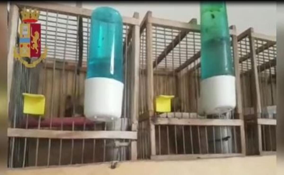 CATANIA: VENDEVANO ABITI E SCARPE DONATI, DENUNCE - 