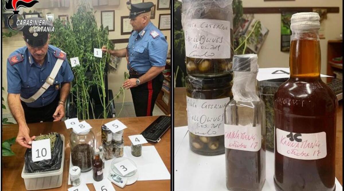 PEDARA, CENE A BASE DI… MARIJUANA. ARRESTATO UNO CHEF - 