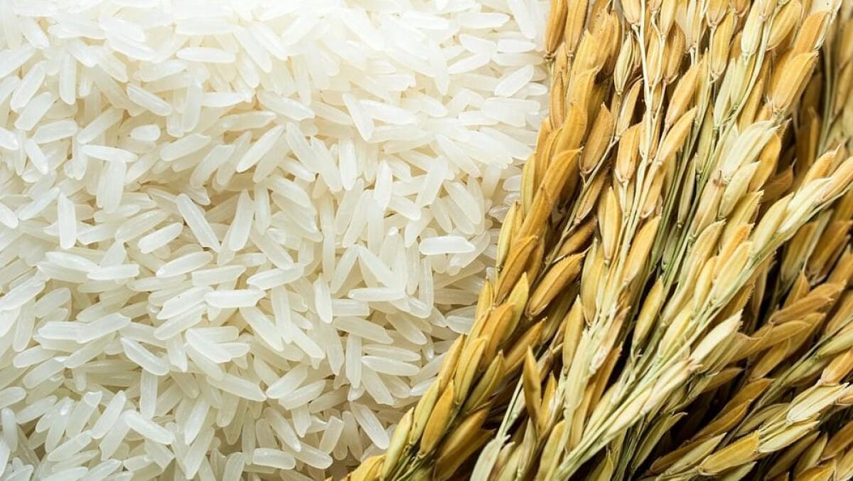 CATANIA: PESTA COINQUILINO PERCHÉ IL RISO NON È BUONO - 