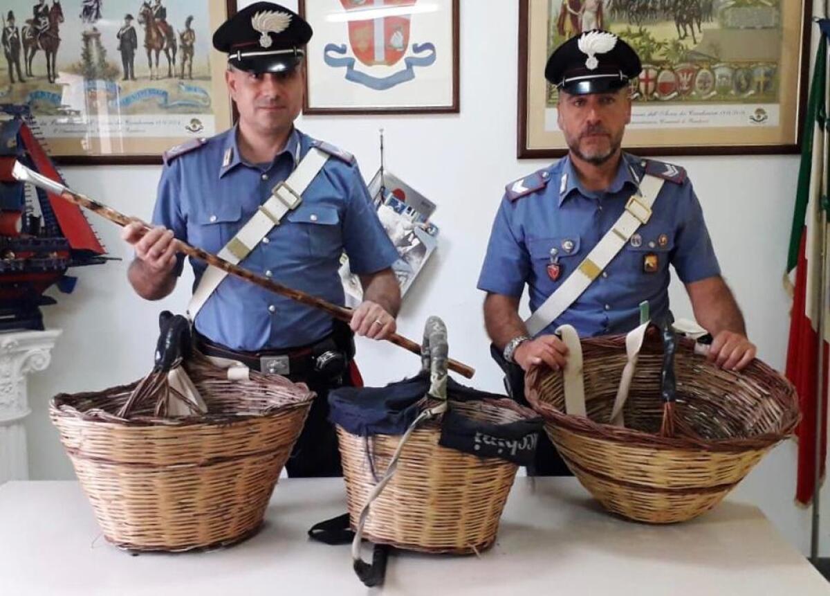 BRONTE: TRE “ARZILLI NONNI “ PRESI MENTRE PREDANO UN MANDORLETO: DENUNCIATI PER FURTO AGGRAVATO - 