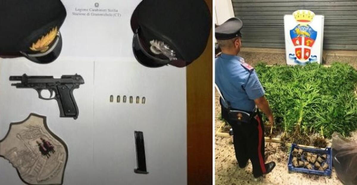 ARMATO DI PISTOLA E COLTIVATORE DI DROGA, BECCATO DAI CARABINIERI NEL CATANESE: ARRESTATO 50ENNE - 