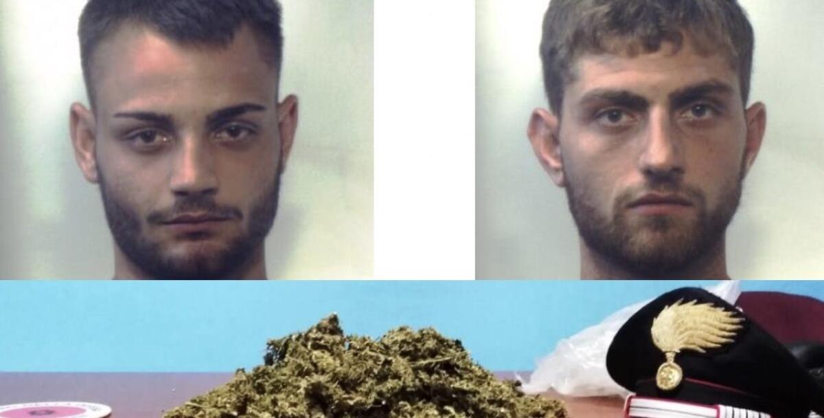 BELPASSO, DROGA NASCOSTA NELLA CUCCIA DEL PITBULL PER PROTEGGERLA DAGLI “INTRUSI”: ARRESTATI 2 GIOVANI - 
