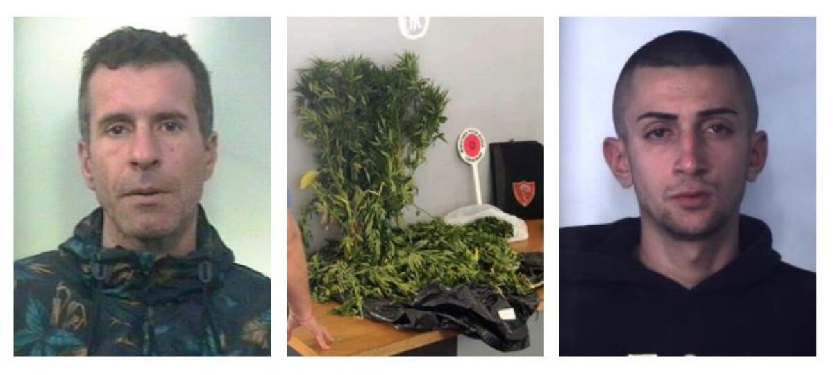 A CASA CON TRE CHILI DI MARIJUANA: ARRESTATI DUE BELPASSESI - 