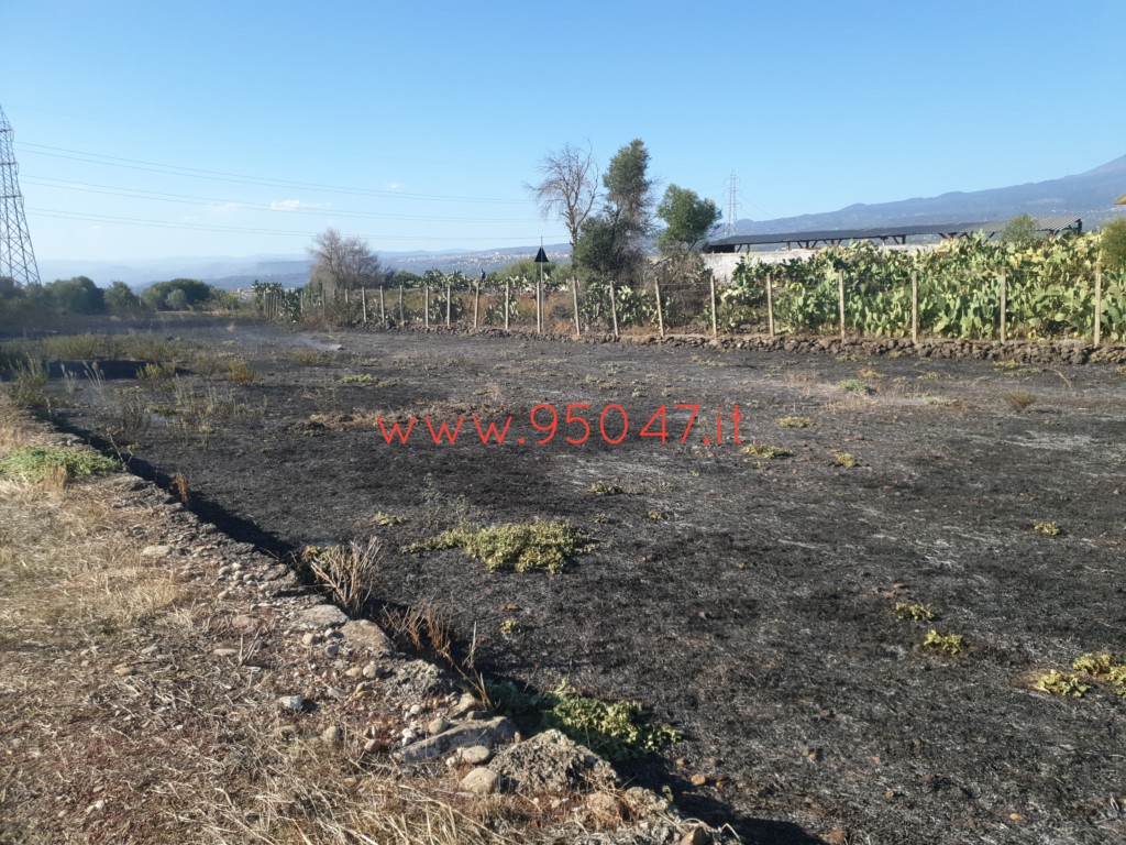 PATERNÒ: AMPIO INCENDIO DI STERPAGLIE A GIACONIA