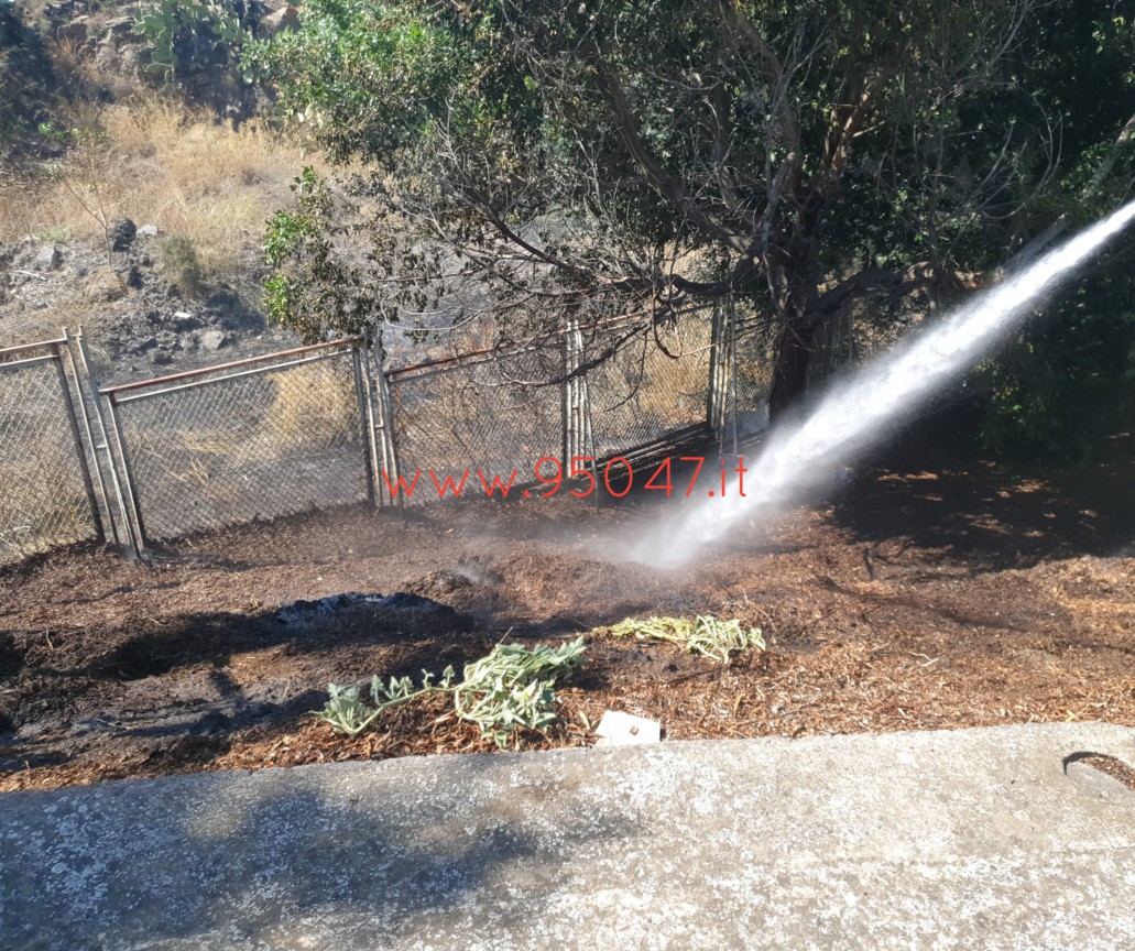 PATERNÒ: INCENDIO NEI PRESSI DELL'OSPEDALE, A FUOCO STERPAGLIE