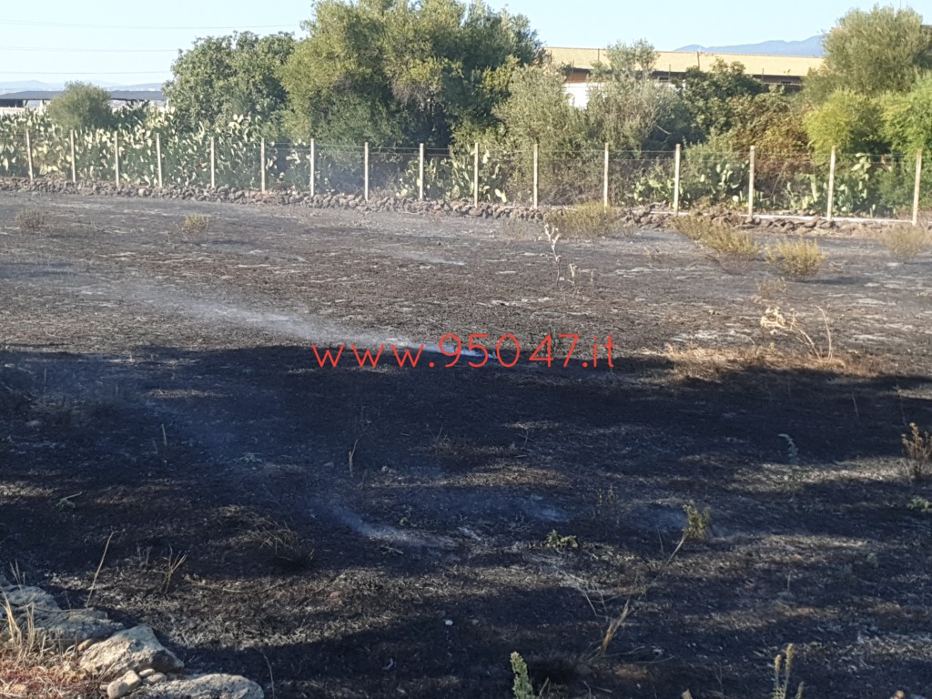 PATERNÒ: AMPIO INCENDIO DI STERPAGLIE A GIACONIA
