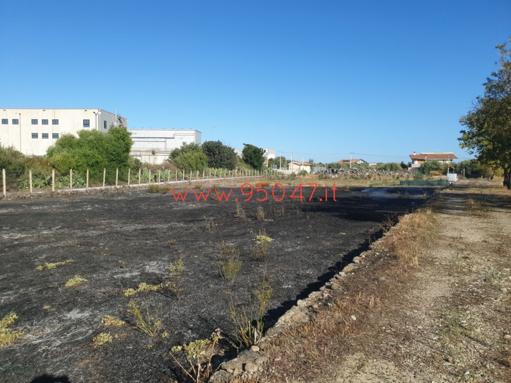 PATERNÒ: AMPIO INCENDIO DI STERPAGLIE A GIACONIA