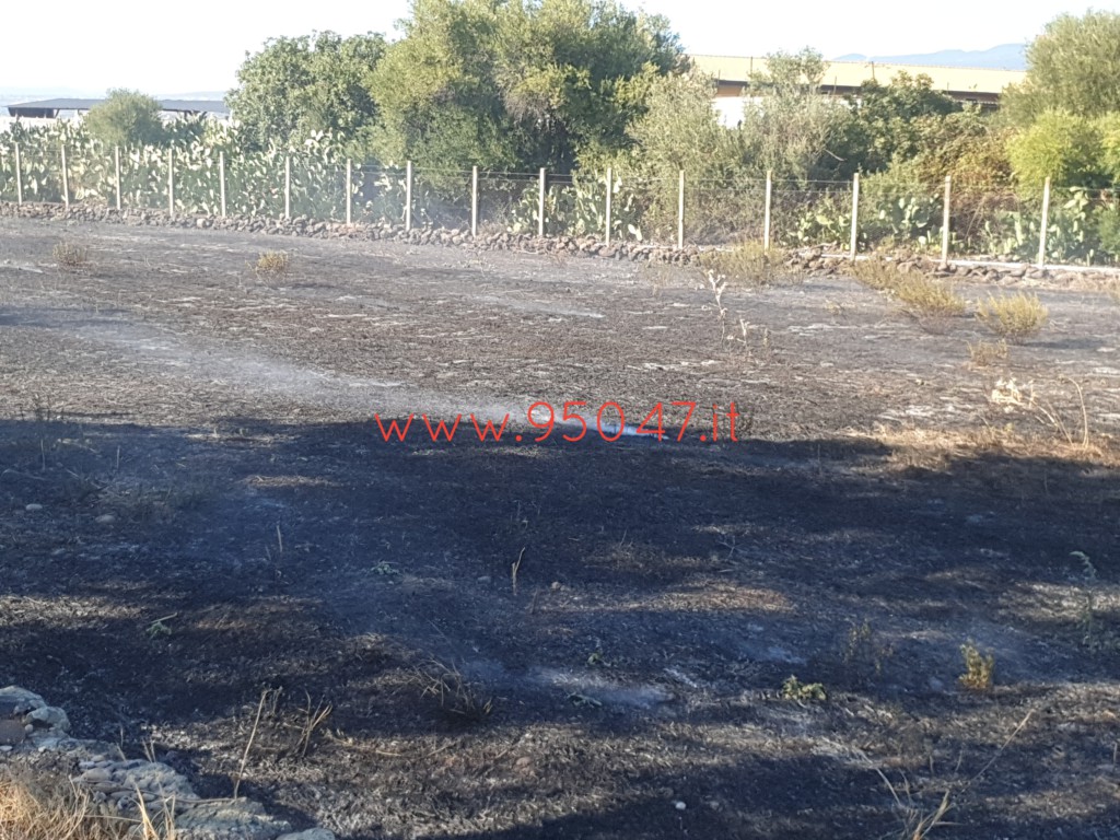 PATERNÒ: AMPIO INCENDIO DI STERPAGLIE A GIACONIA