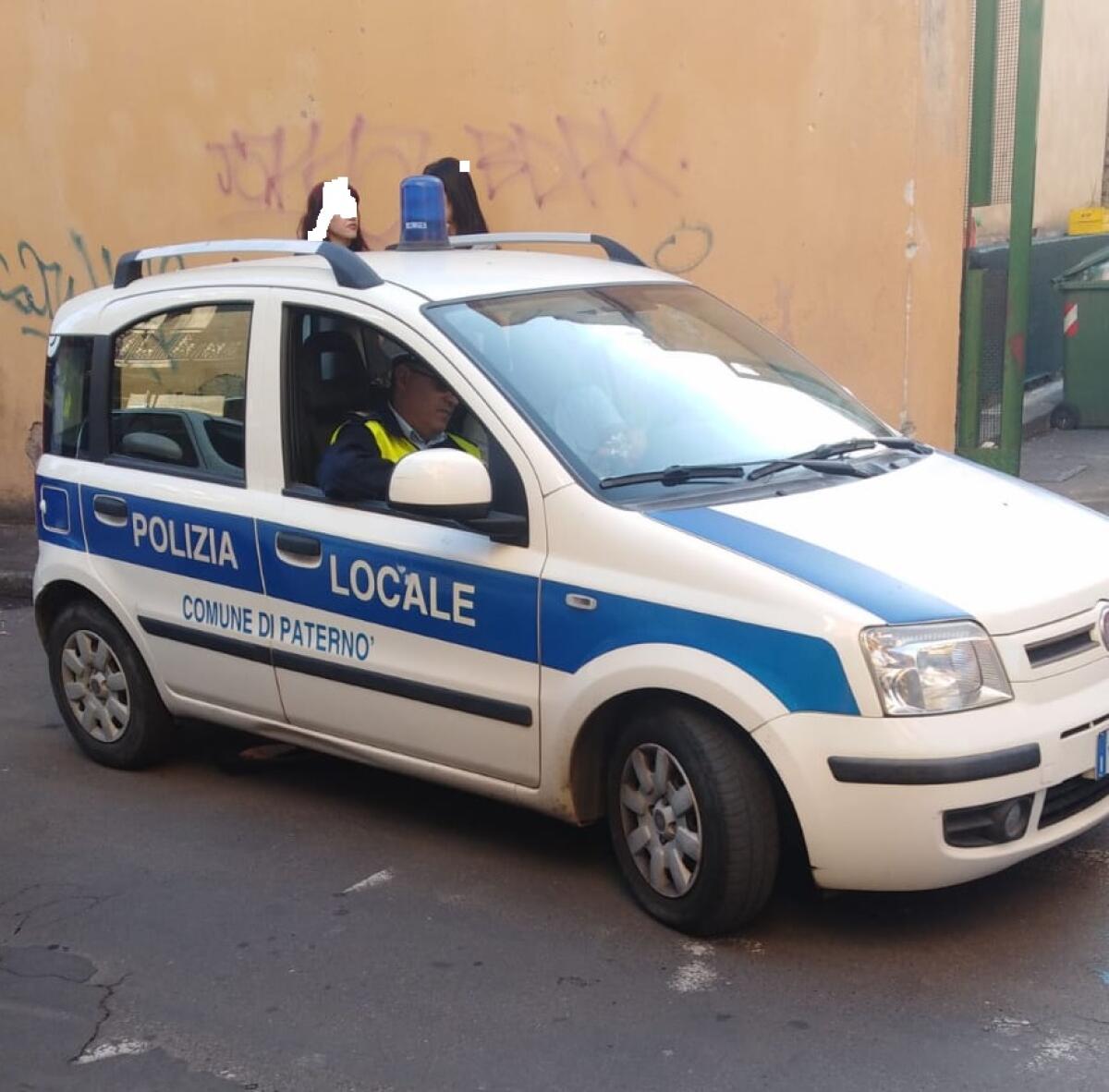 PATERNO': TOPI A SCUOLA, IL 2° CIRCOLO DIDATTICO “GIOVANNI XXII” CHIUDE PER DERATTIZZAZIONE - 