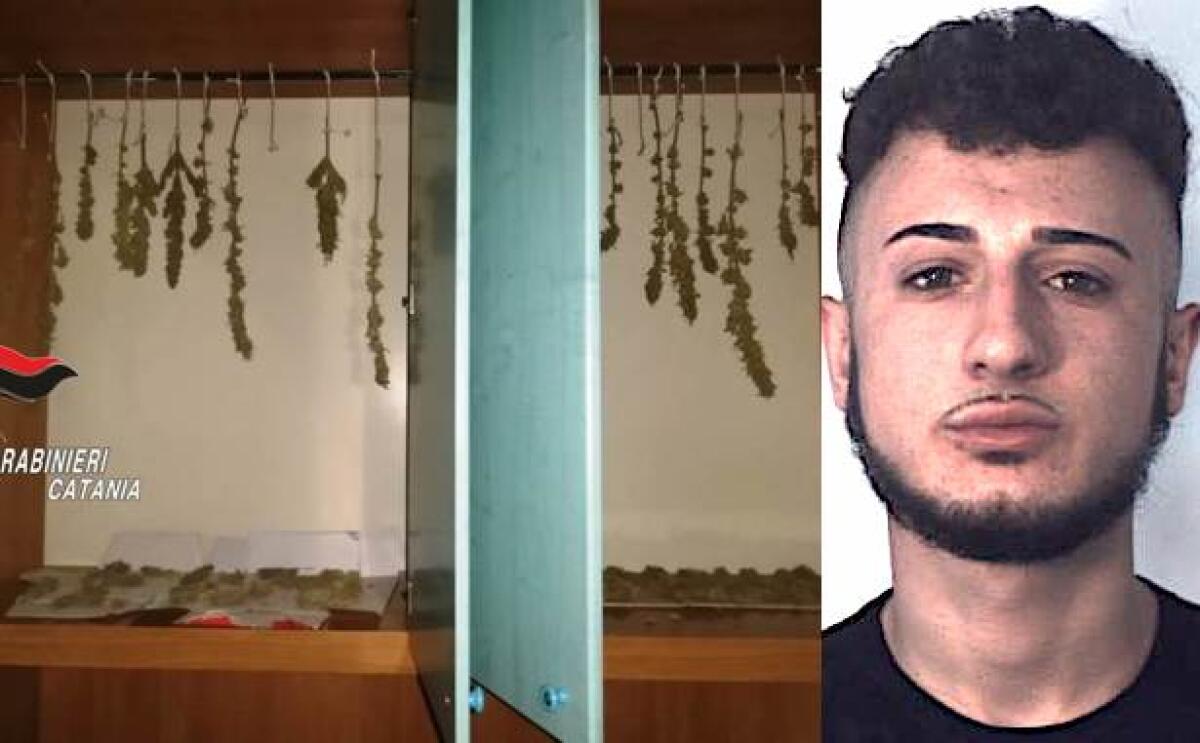 CATANIA, SCOPERTA MANSARDA CON ARMADIO “STUPEFACENTE” - 