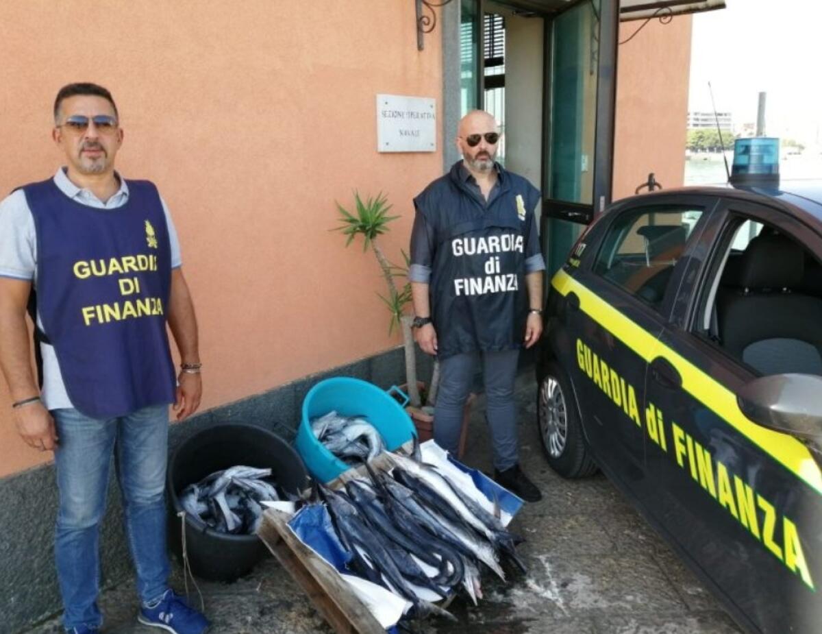 CATANIA, SEQUESTRATI DALLA GUARDIA DI FINANZA 43 ESEMPLARI DI PESCE SPADA NOVELLO - 
