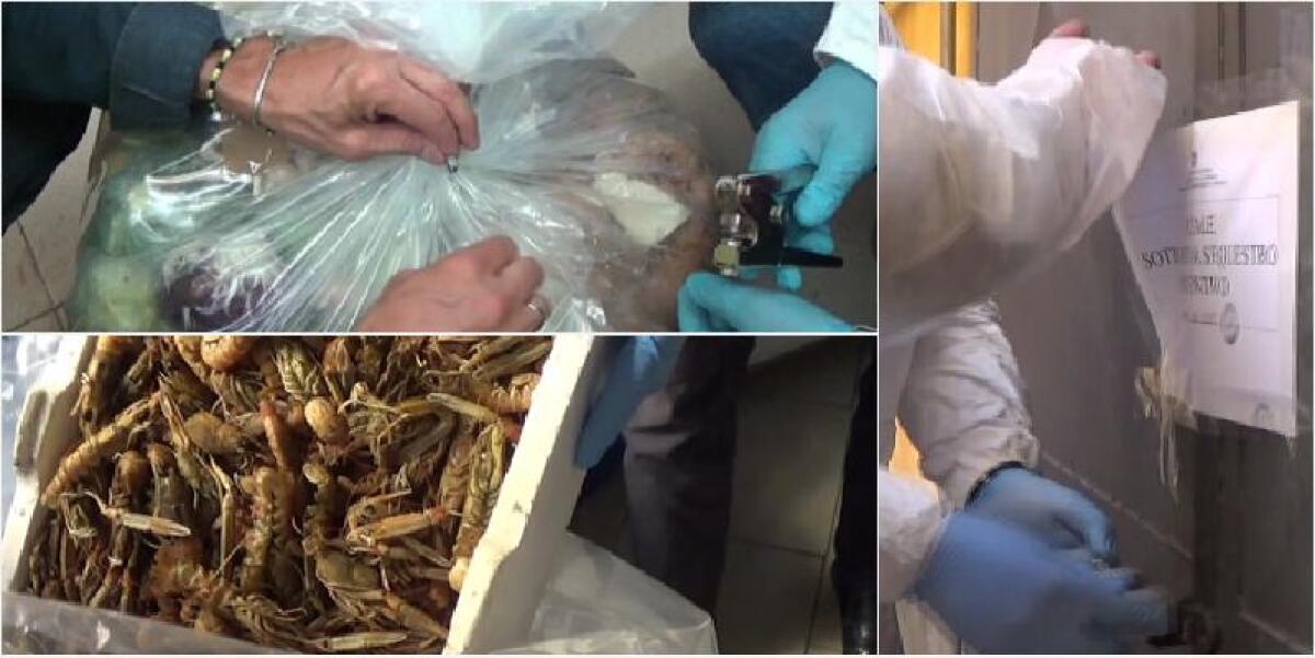 CATANIA, LA PUZZA DI PESCE AVARIATO NEI RISTORANTI SEQUESTRATI INVADE IL QUARTIERE - 