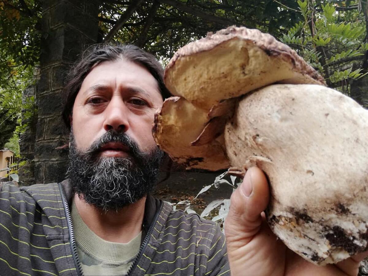 TROVATO UN SUPER FUNGO DI OLTRE 3 CHILI ALLE PENDICI DELL’ETNA - 