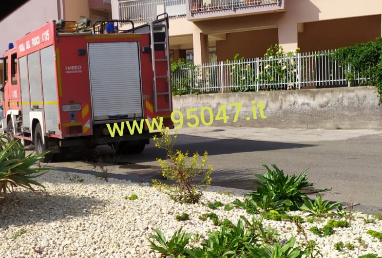PATERNÒ: VIALE DELLE ROSE, CADUTA CALCINACCI VIGILI DEL FUOCO IN AZIONE