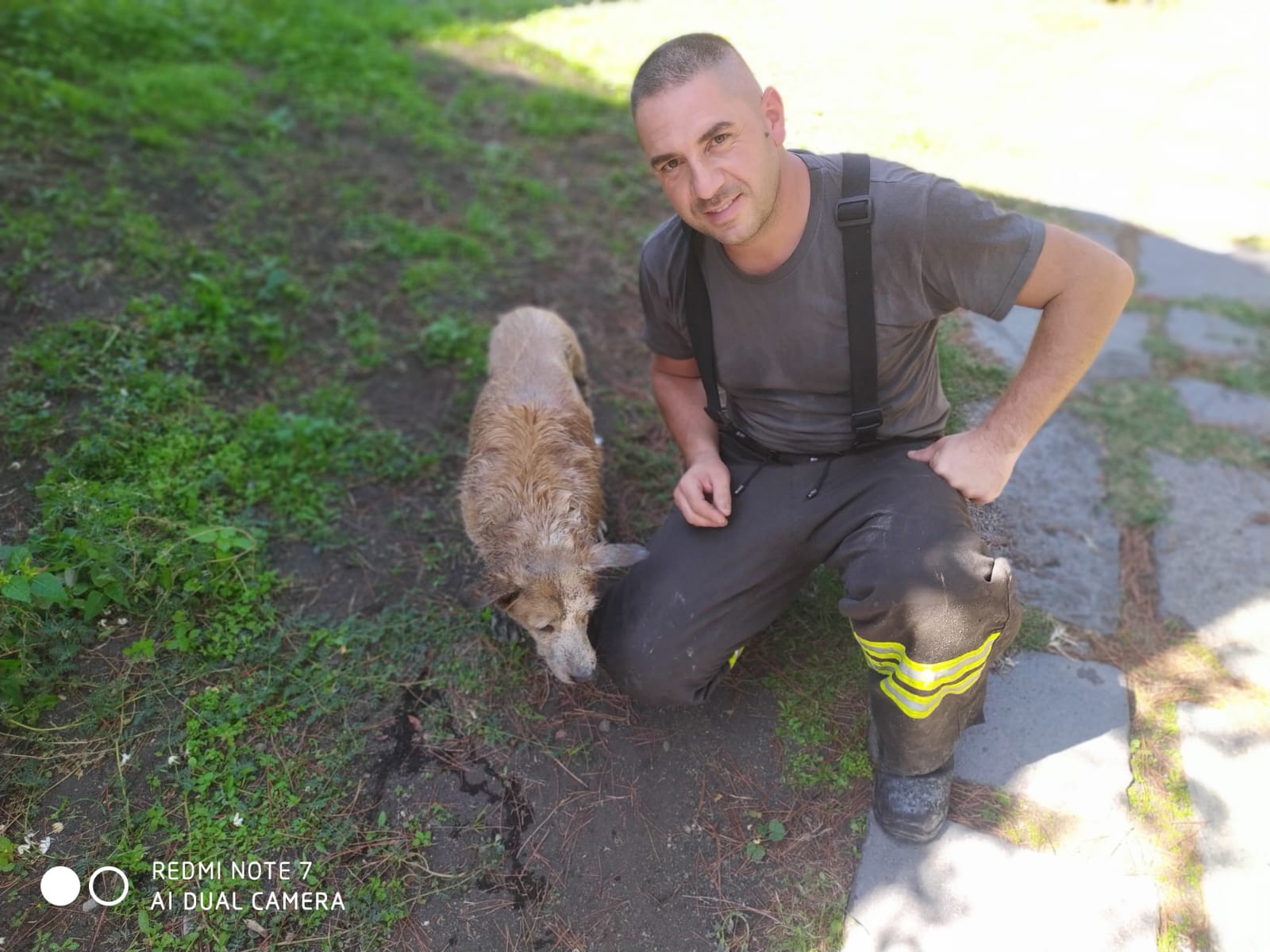 NICOLOSI: CANE CADE IN UNA FOGNA PROFONDA, SALVATO DAI VIGILI DEL FUOCO DI PATERNO'