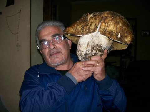 TROVA PORCINI GIGANTI: UNA COPPIA DA 3 CHILI TROVATI A PEDARA