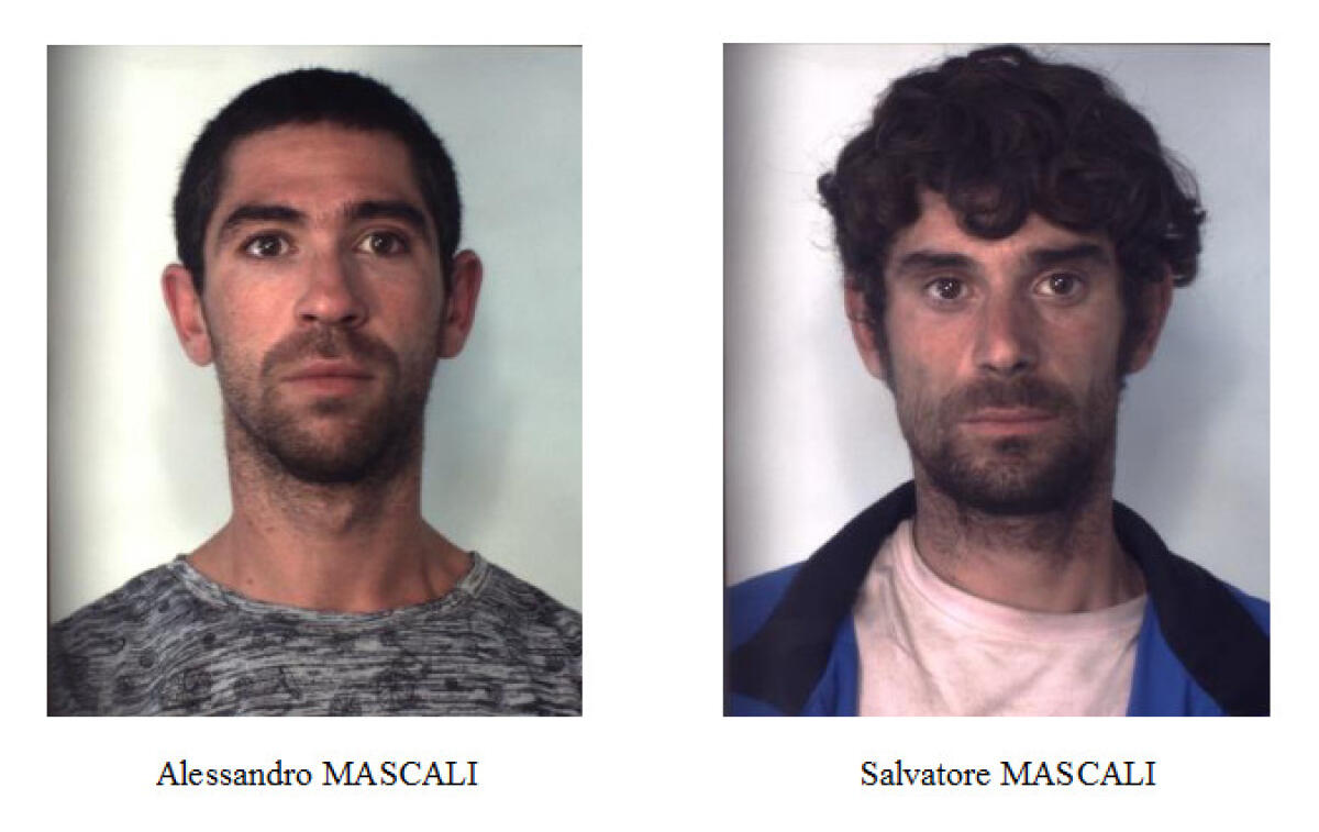 CATANIA. ANCORA SPACCIATORI FINITI NELLA RETE DEI “LUPI”: ARRESTATI DUE FRATELLI - 