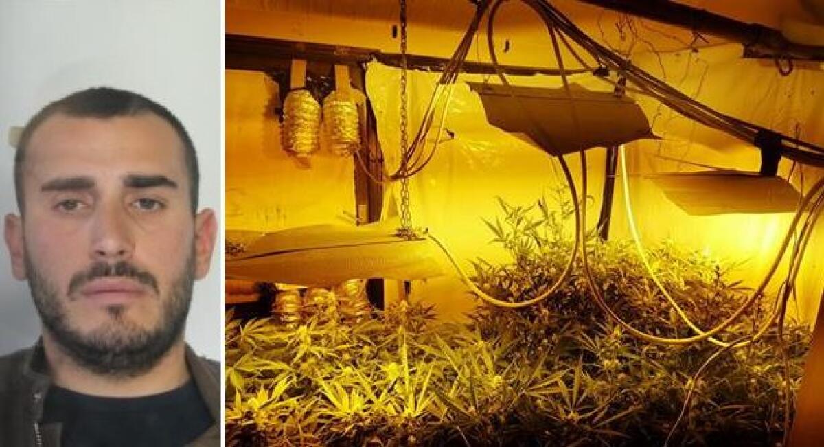 BELPASSO, SERRA INDOOR IN APPARTAMENTO SCOPERTA TRAMITE L'APP YOU POL - 